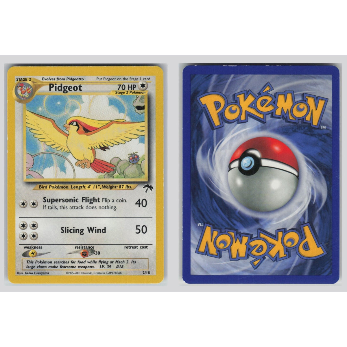 Pidgeot Southern Islands 2/18 – vintage Pokémonkort | Rogerz.dk