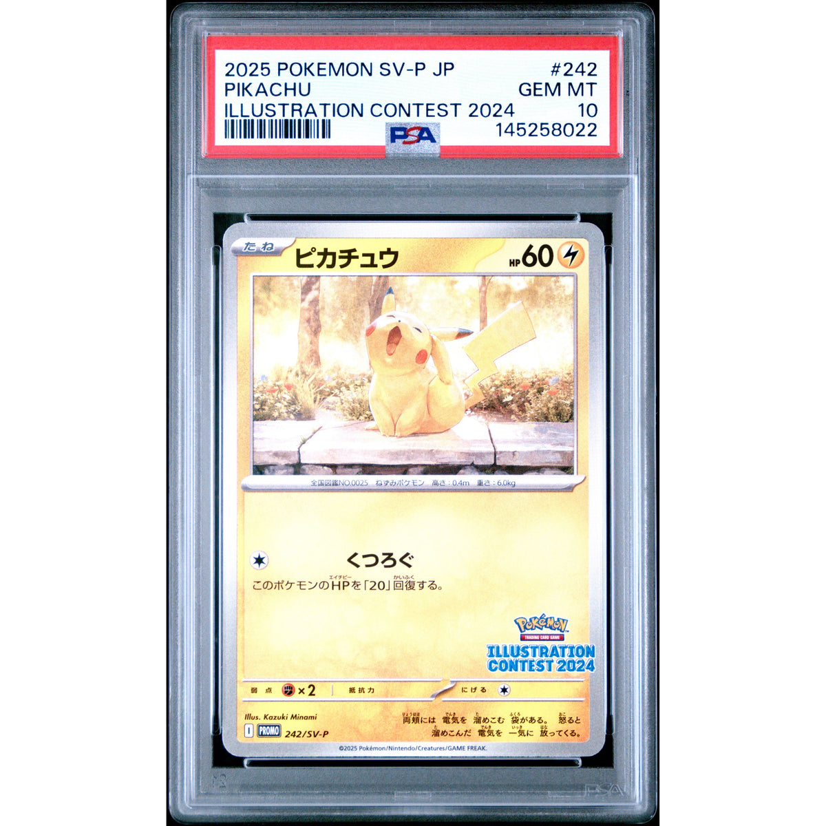 Pokémon TCG: Pikachu #242 PSA 10-145258022