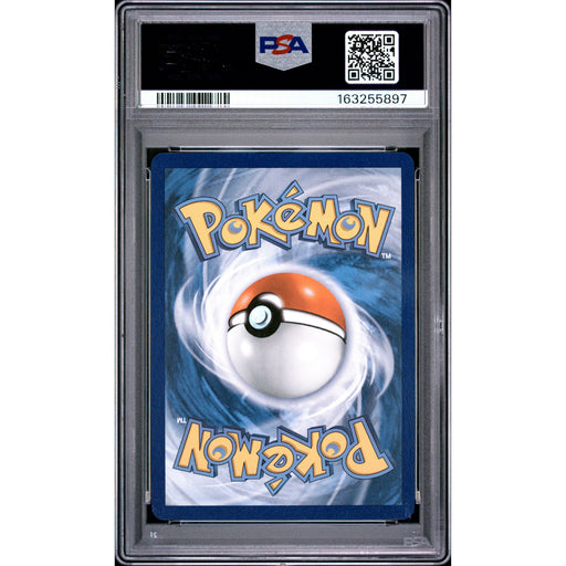 Pokémon TCG: Turtwig {{setAbbreviation}} 040 NM PSA 10 (Back)