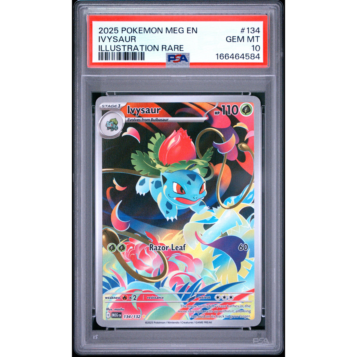 Pokémon TCG: Ivysaur #134 PSA 10-166464584