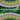 Magic the Gathering: Zendikar Rising Collector Booster Display by Wizards of the Coast features 12 collector boosters with foil cards, arranged in a semi-circle on a green background, with bold text: “12 COLLECTOR BOOSTERS COLLECT ONLY THE BEST.”.