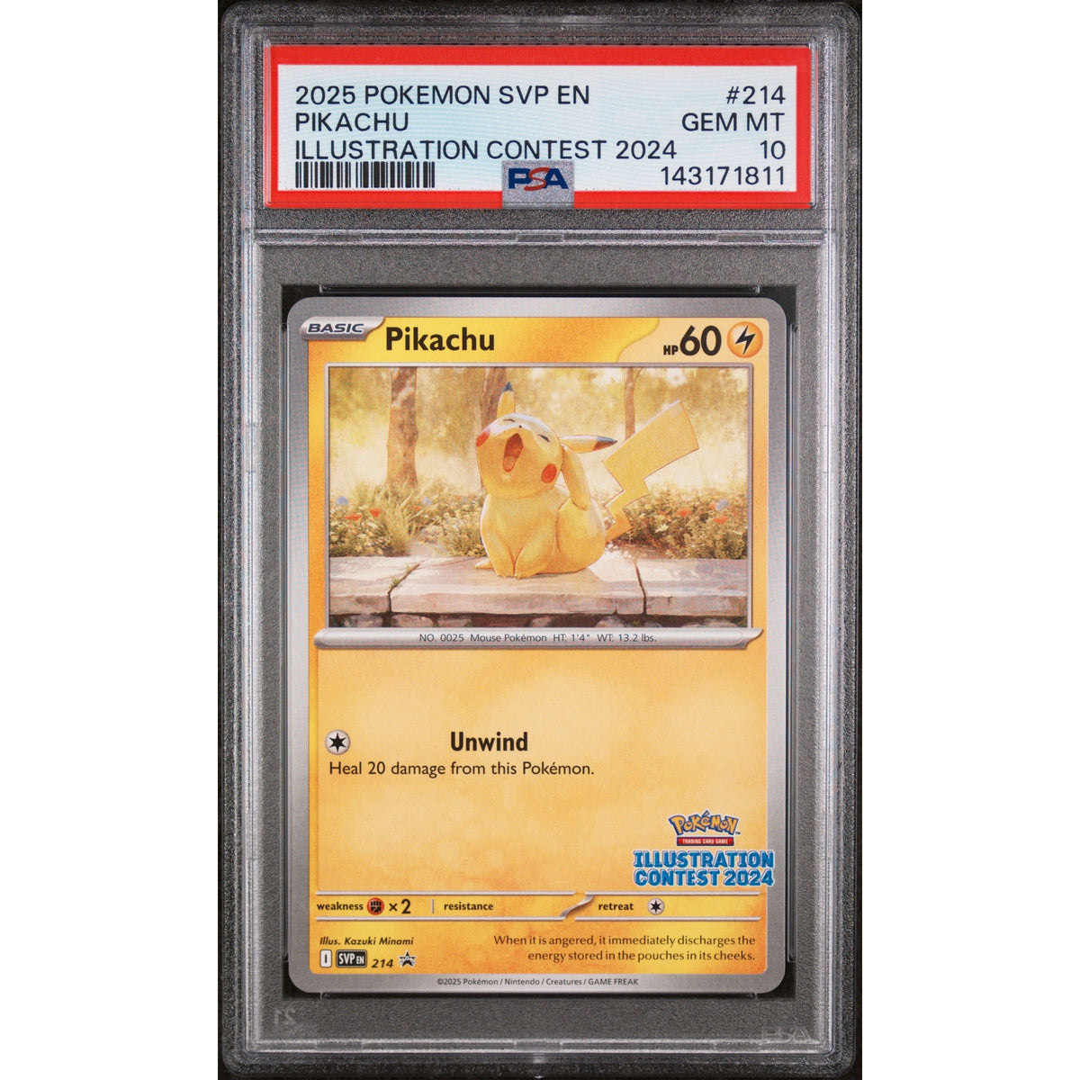 Pokémon TCG: Pikachu #214 PSA 10-143171811