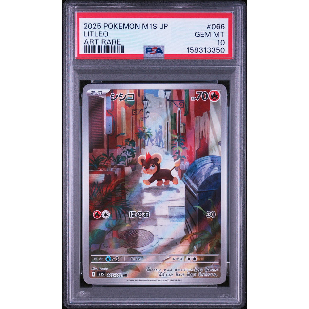 Pokémon TCG: Litleo #066 PSA 10 - Japanese