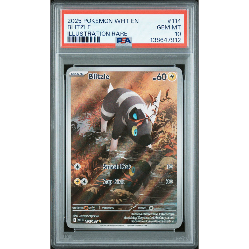 Pokémon TCG: Blitzle #114 PSA 10