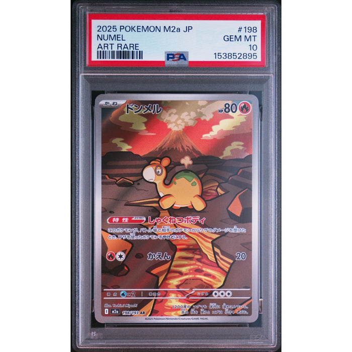 Pokémon TCG: Numel #198 PSA 10-153852895
