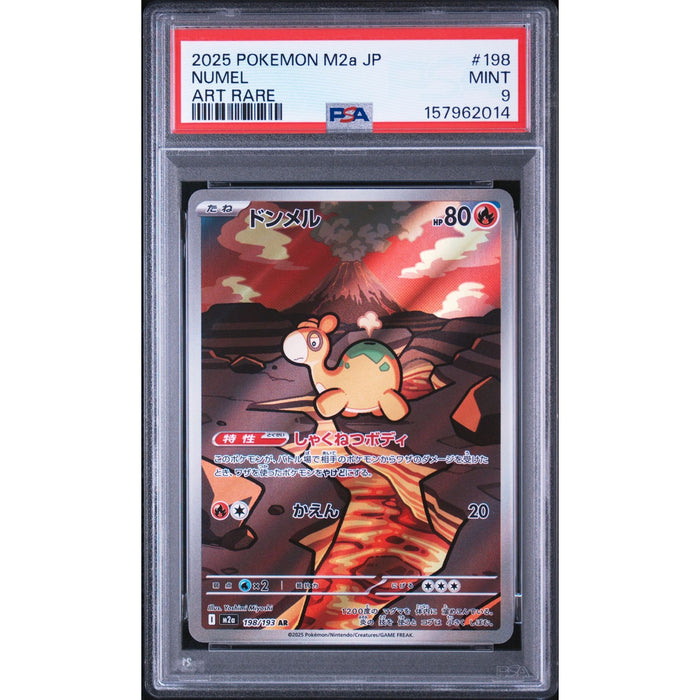 Pokémon TCG: Numel #198 PSA 9-157962014