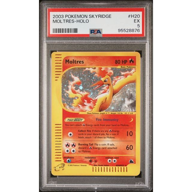 Pokémon TCG: Moltres Holo #H20 PSA 5-95528876