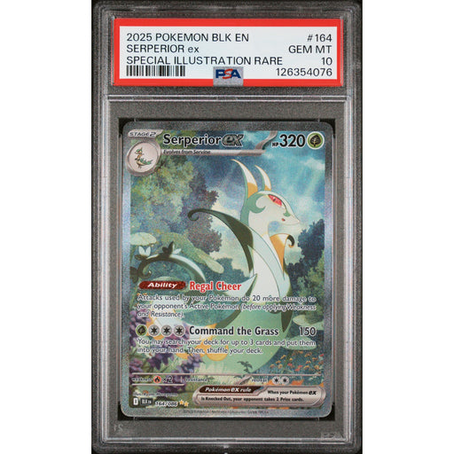 Pokémon TCG: Serperior Ex 164 PSA 10 - Black Bolt