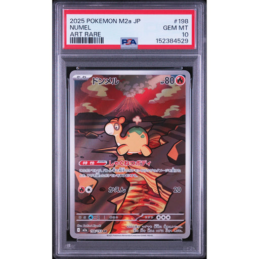 Pokémon TCG: Numel #198 PSA 10-152384529