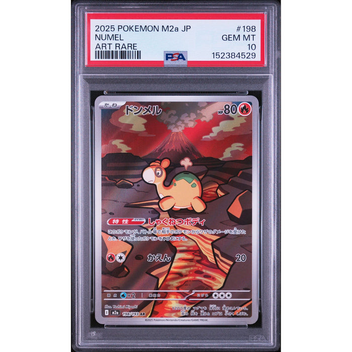Pokémon TCG: Numel #198 PSA 10-152384529
