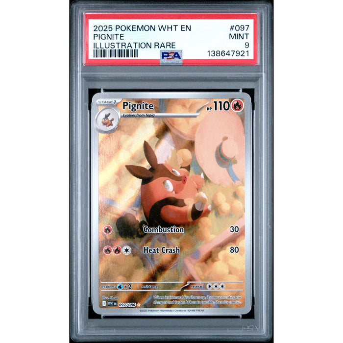 Pokémon TCG: Pignite #097 PSA 9-138647921