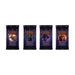 Four Flesh and Blood TCG: Arcane Rising (Unlimited) Booster Display packs from Legend Story Studios Limited are arranged in a row, each featuring distinct fantasy characters and vibrant artwork on the purple and black packaging. This striking Arcane Rising (Unlimited) booster display is an ideal choice for collectors and fans looking to expand their card collections with unique booster packs.