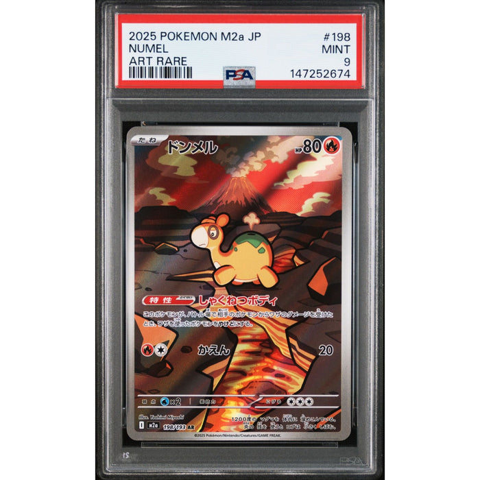 Pokémon TCG: Numel #198 PSA 9-147252674