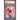 Pokémon TCG: Fezandipiti Ex #288 PSA 10-153451806