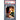 Pokémon TCG: Raticate #099 PSA 10-157233757