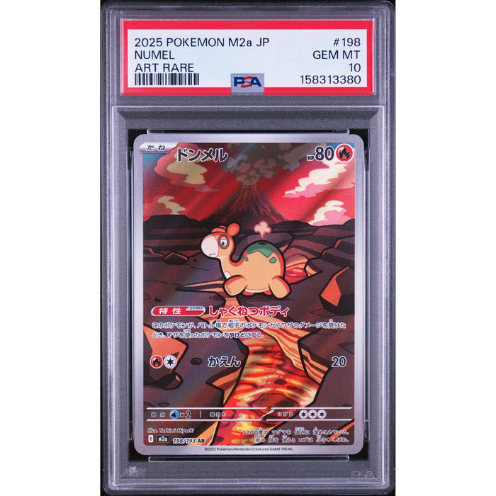 Pokémon TCG: Numel #198 PSA 10-158313380