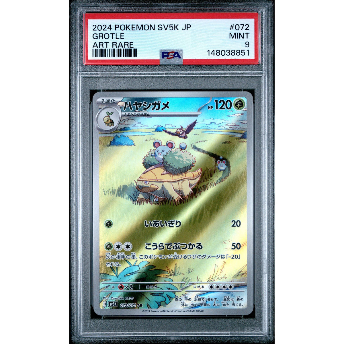 pokemon grotle card 072/071 AR Wild Force PSA 9 Japanese Pokémon Spider Human Hero Stage 1 Pokémon Trading Card Game Phone Model:iPhone 15 Pro