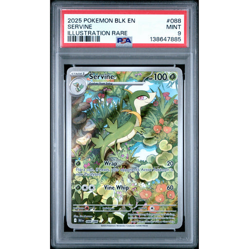 Pokémon TCG: Servine #088 PSA 9-138647885