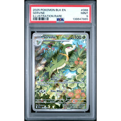 Pokémon TCG: Servine #088 PSA 9