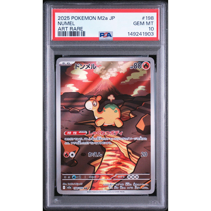 Pokémon TCG: Numel #198 PSA 10-149241903